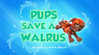 Pups Save a Walrus