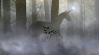What Are Our Imaginations For?