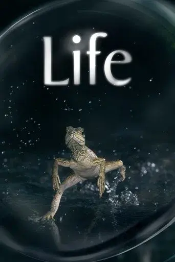 Life