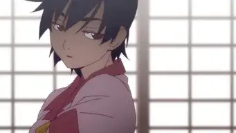 Suruga Monkey (2)