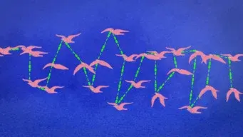 Are we more intelligent in swarms?