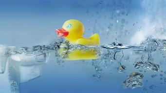 How Does Water Create Life?