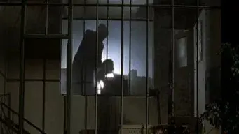 A Shadow in the Courtyard