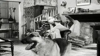 The Case of the Lazy Lover