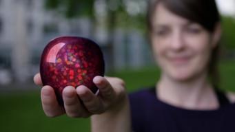 Does Quantum Physics Change Our Reality?