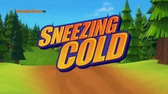 Sneezing Cold