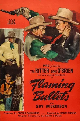 Flaming Bullets