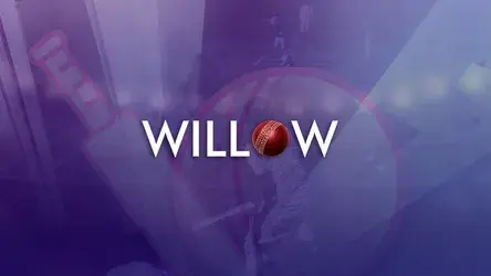 Willow Cricket